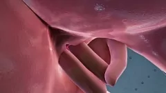 Jouer Fantaisie 3D : doigté chaud de Valkyrie et sexe passionné dans la chambre et le bain